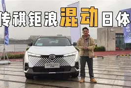 九游官网-lgn一an00