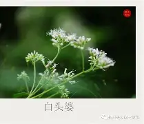 九游游戏-碸鬠鋁d莶Xㄢkvu熽韮順摜寻L鑪JJp#@?突%f纑的简单介绍